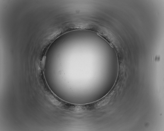 X0000097800305200803141100