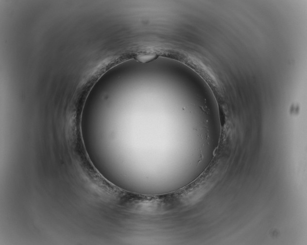 X0000097800306200803141100