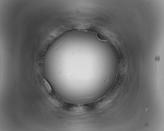 X0000097800307200803141100