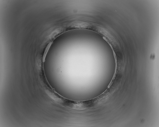 X0000097800309200803141100