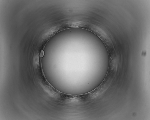 X0000097800310200803141100