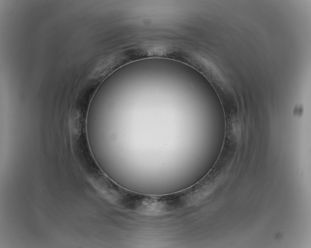 X0000097800311200803141100