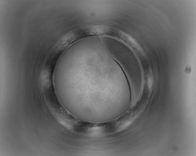 X0000097800312200803141100