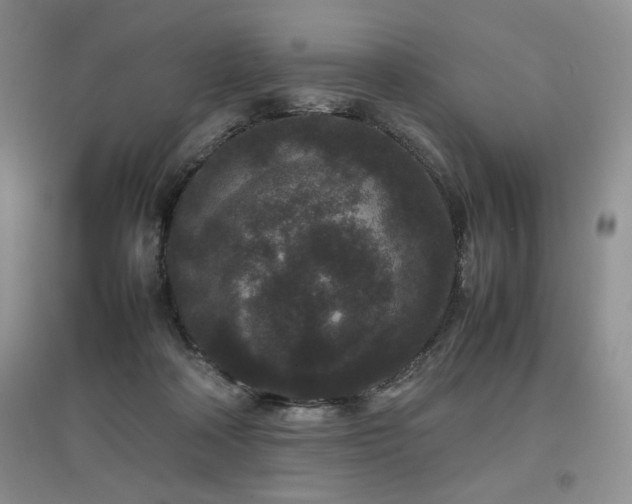 X0000097800314200803141100