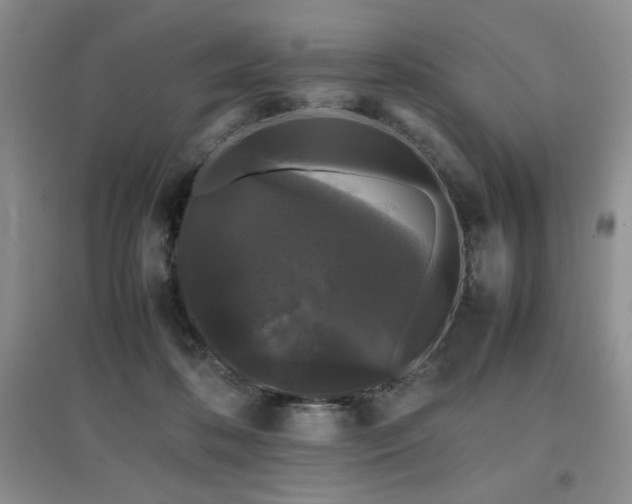 X0000097800316200803141100