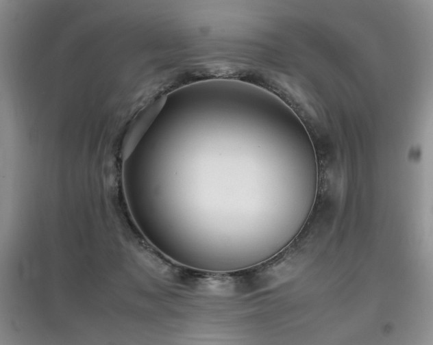 X0000097800317200803141100