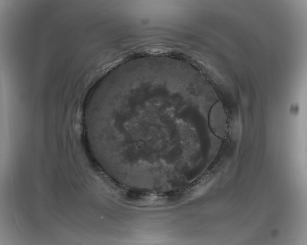 X0000097800319200803141100