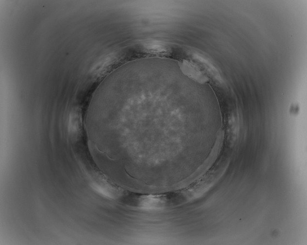 X0000097800320200803141100