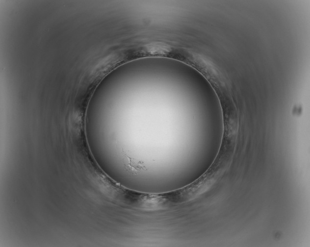 X0000097800321200803141100