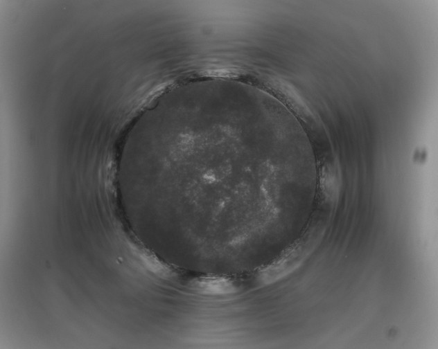 X0000097800322200803141100