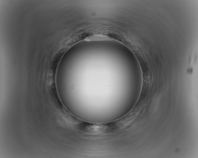 X0000097800323200803141100