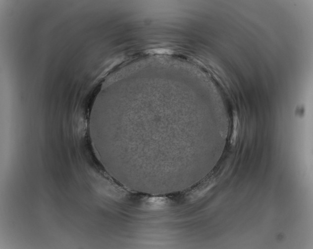 X0000097800324200803141100