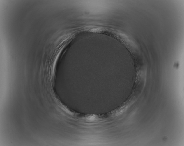 X0000097800325200803141100