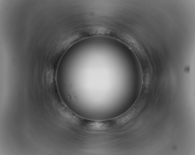 X0000097800326200803141059