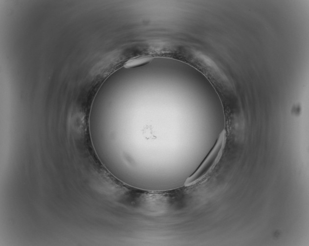 X0000097800327200803141059