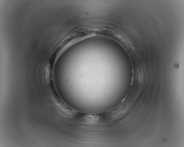 X0000097800328200803141059