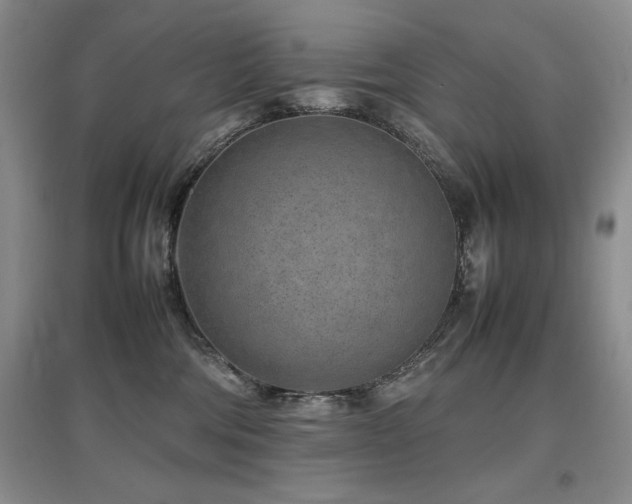 X0000097800330200803141059