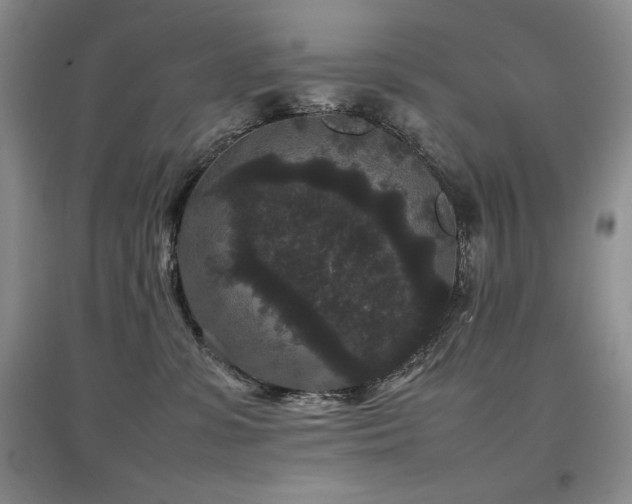 X0000097800331200803141059