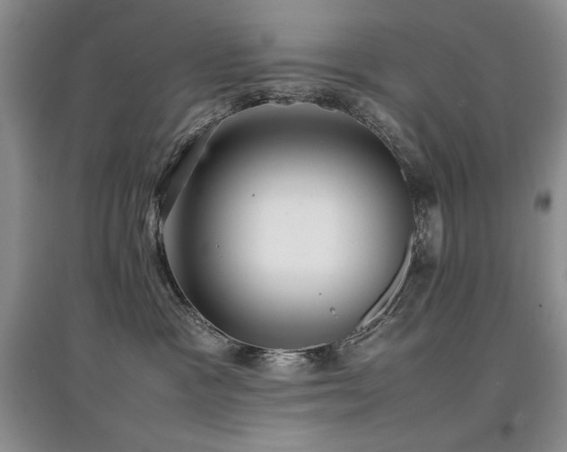 X0000097800333200803141059