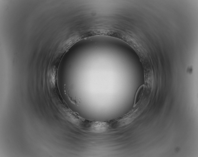 X0000097800334200803141059