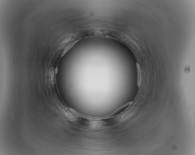 X0000097800336200803141059