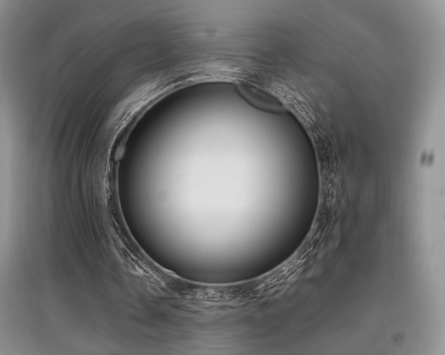 X0000097800338200803141059