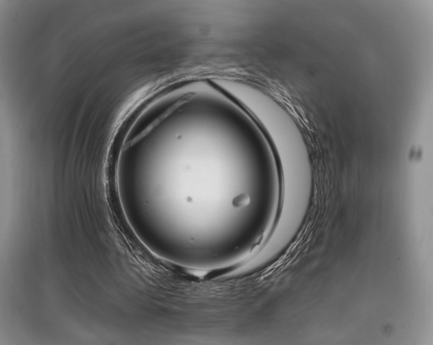 X0000097800340200803141059