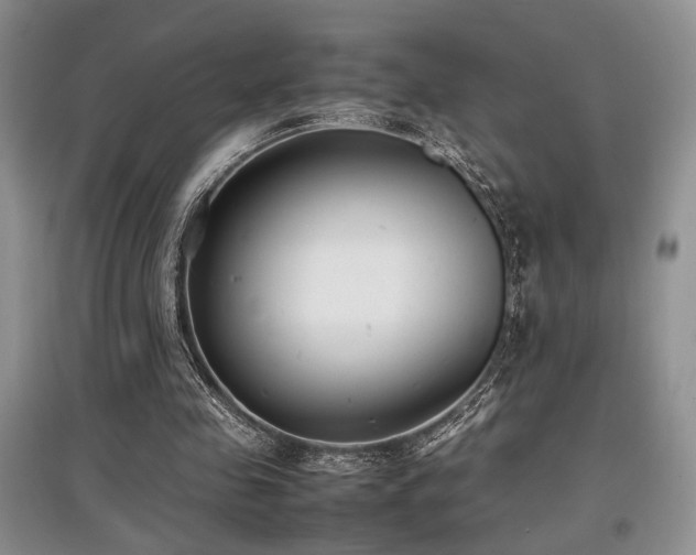 X0000097800341200803141059