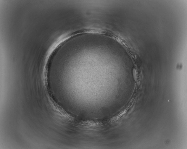 X0000097800343200803141059