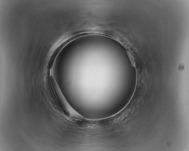 X0000097800344200803141059