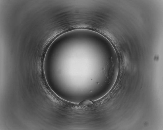 X0000097800345200803141059