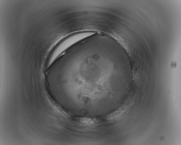 X0000097800347200803141059