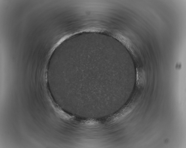 X0000097800348200803141059