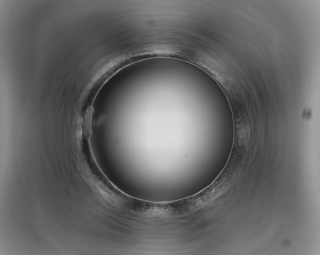 X0000097800350200803141059