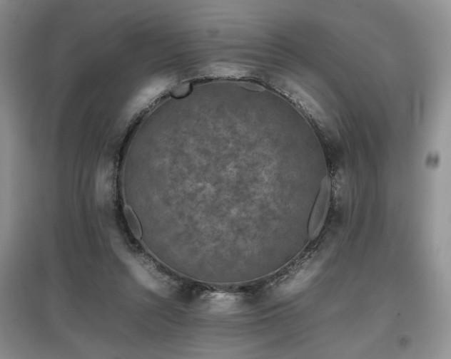 X0000097800352200803141059