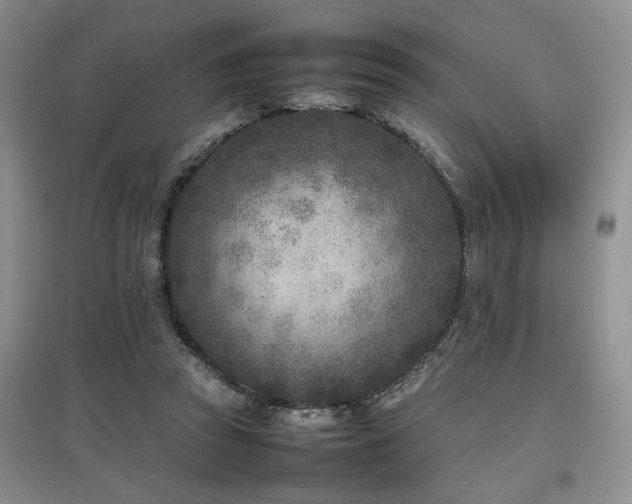 X0000097800353200803141059