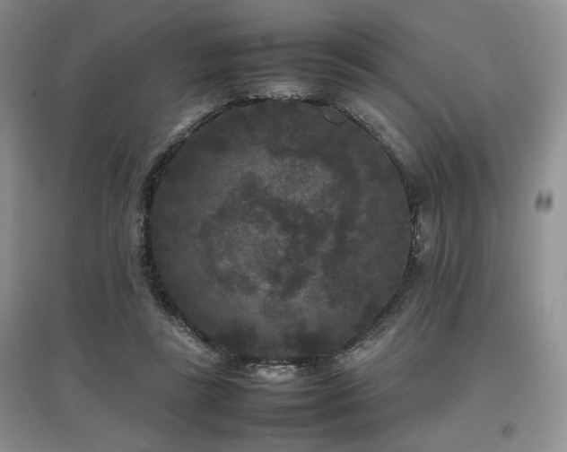 X0000097800355200803141059