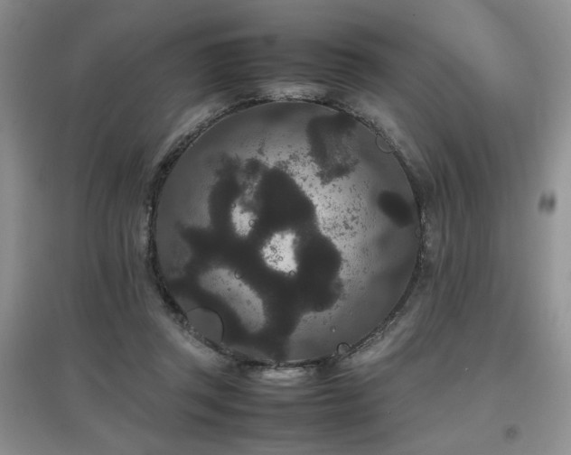 X0000097800357200803141059