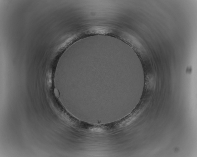 X0000097800358200803141059