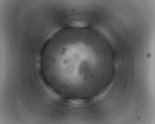 X0000097800359200803141059