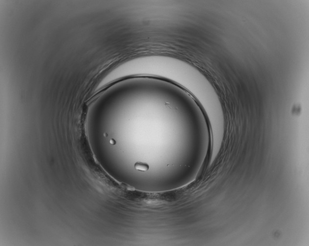 X0000097800360200803141059