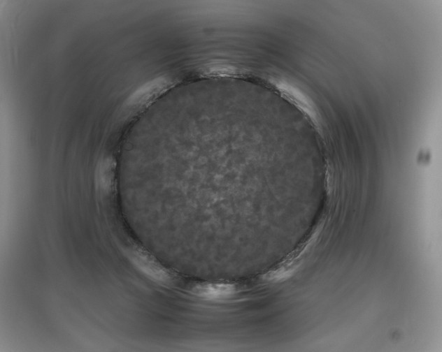 X0000097800361200803141059