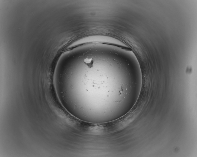 X0000097800362200803141059