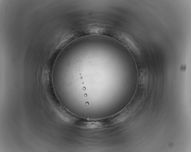 X0000097800363200803141059