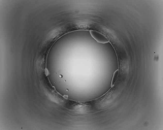 X0000097800364200803141059