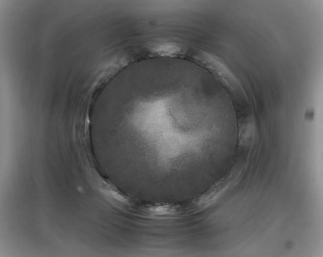 X0000097800365200803141059