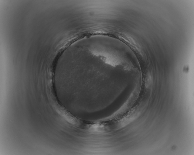 X0000097800366200803141059