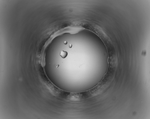 X0000097800368200803141059