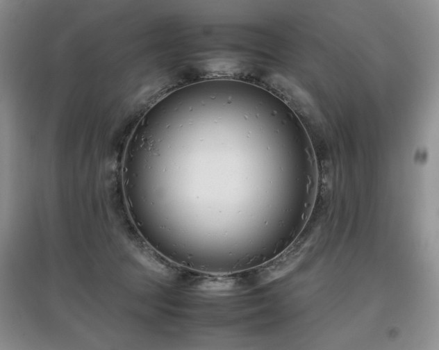 X0000097800369200803141059