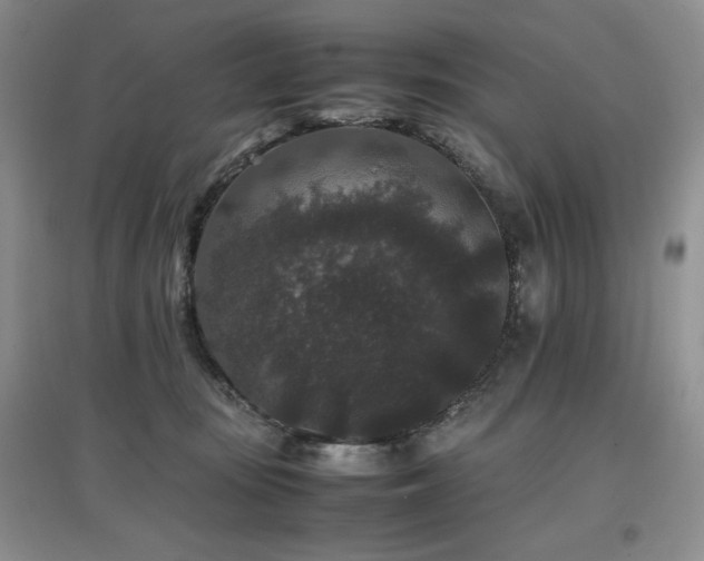 X0000097800371200803141059